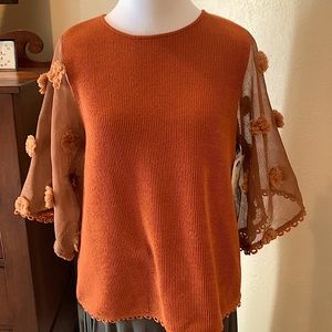 Shear Sleeve Sweater with Appliques